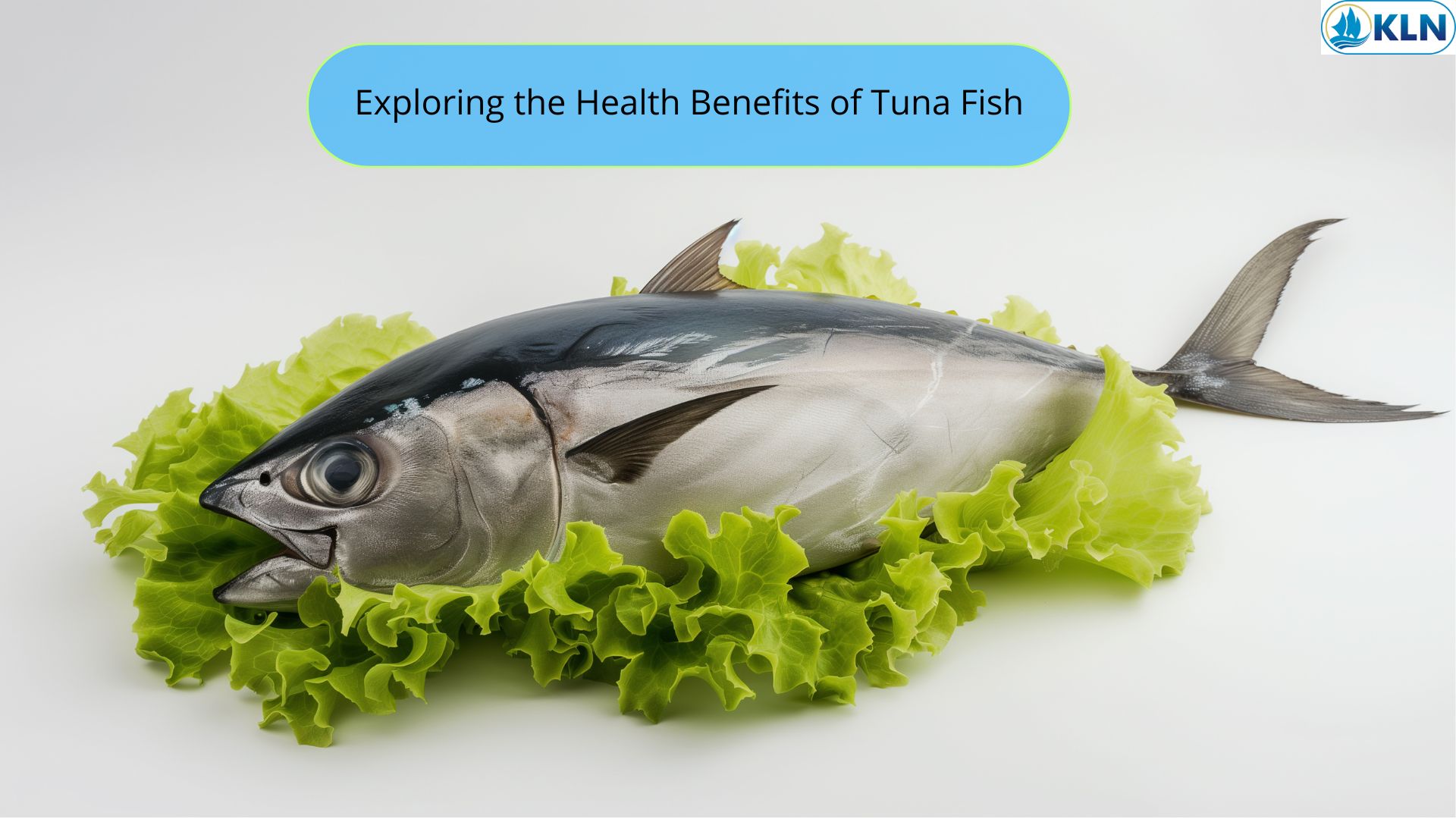 Exploring the Health Benefits of Tuna Fish